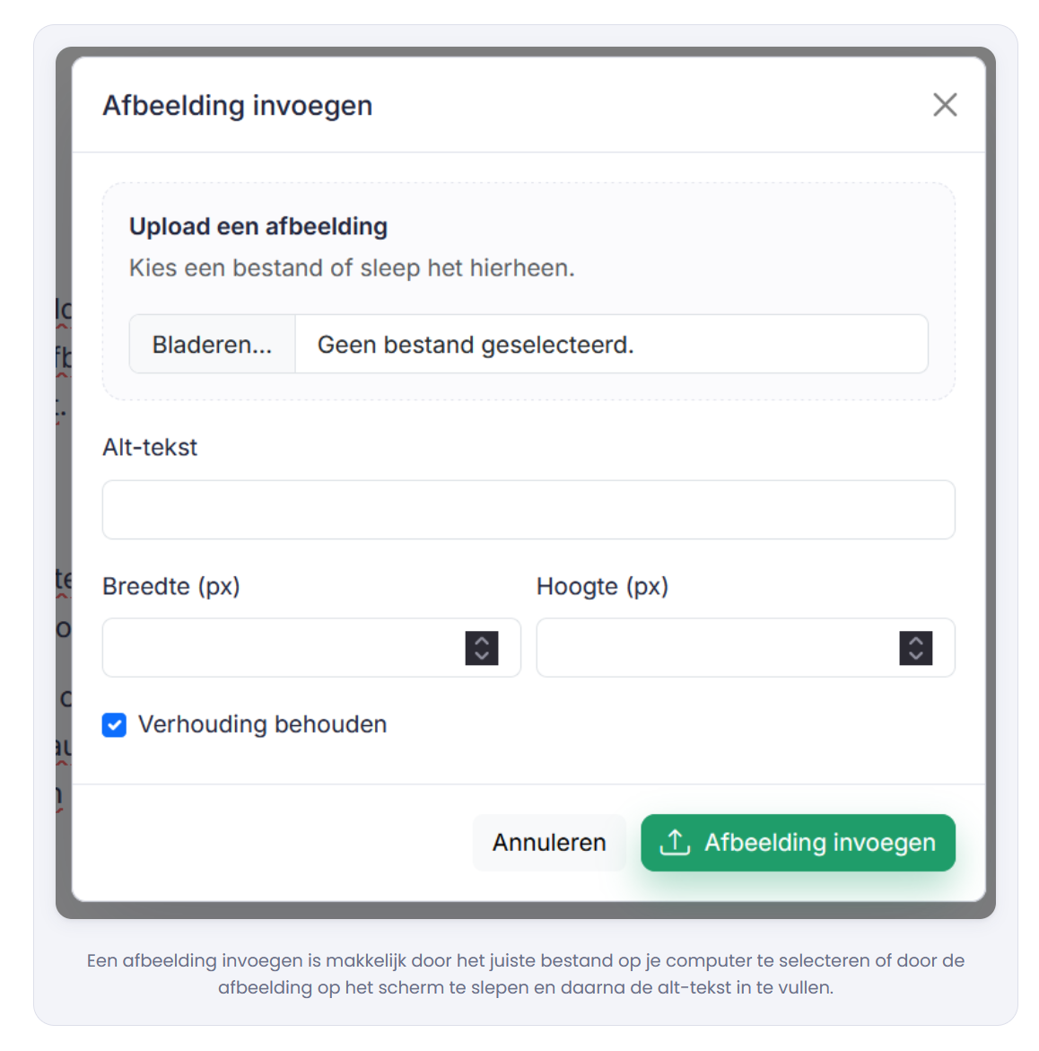 De alt-tekst wordt ook onder de afbeelding weergegeven.